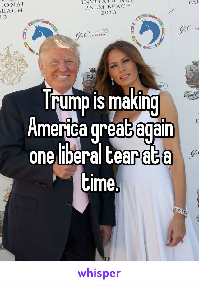 Trump is making America great again one liberal tear at a time.