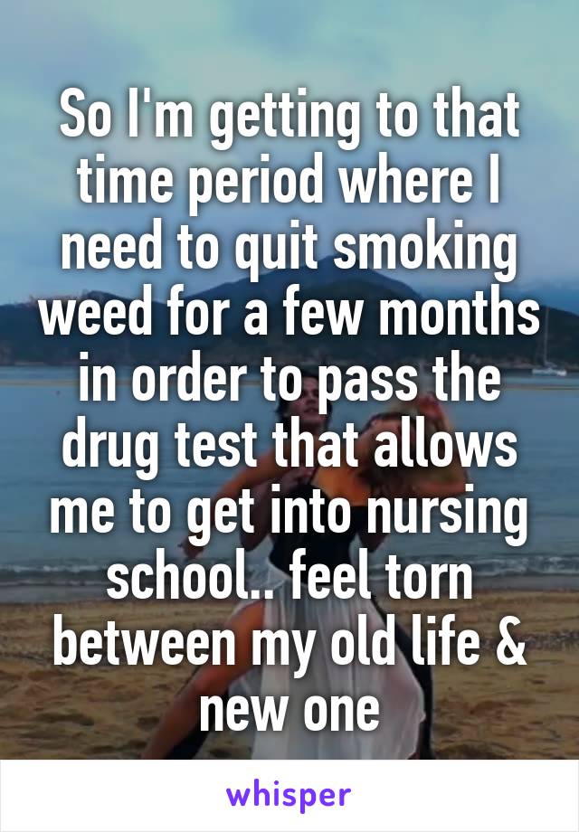 So I'm getting to that time period where I need to quit smoking weed for a few months in order to pass the drug test that allows me to get into nursing school.. feel torn between my old life & new one