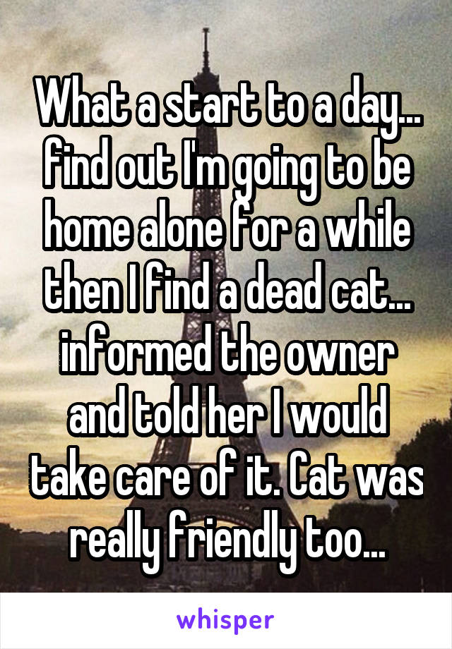 What a start to a day... find out I'm going to be home alone for a while then I find a dead cat... informed the owner and told her I would take care of it. Cat was really friendly too...