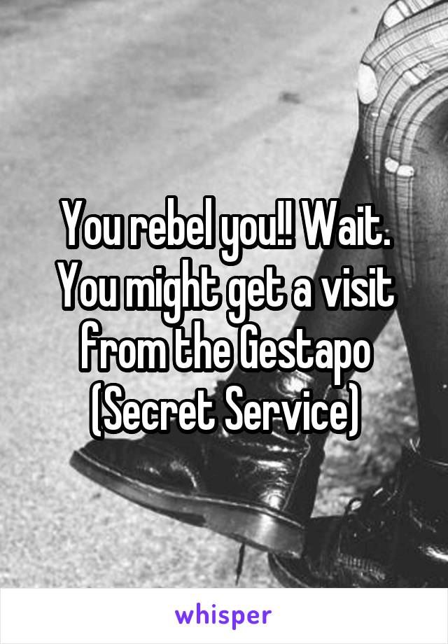 You rebel you!! Wait. You might get a visit from the Gestapo (Secret Service)