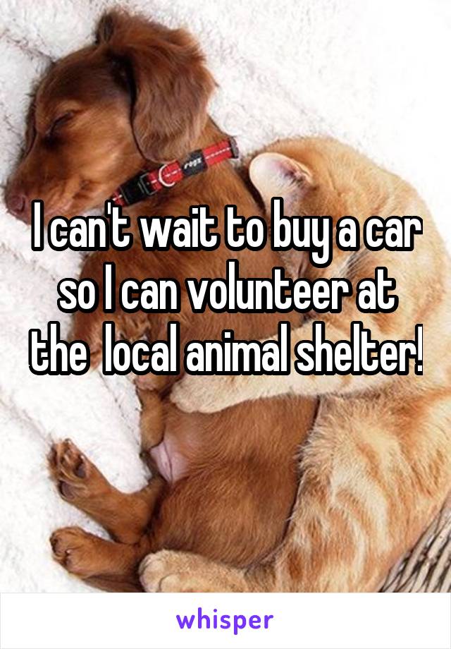 I can't wait to buy a car so I can volunteer at the  local animal shelter! 