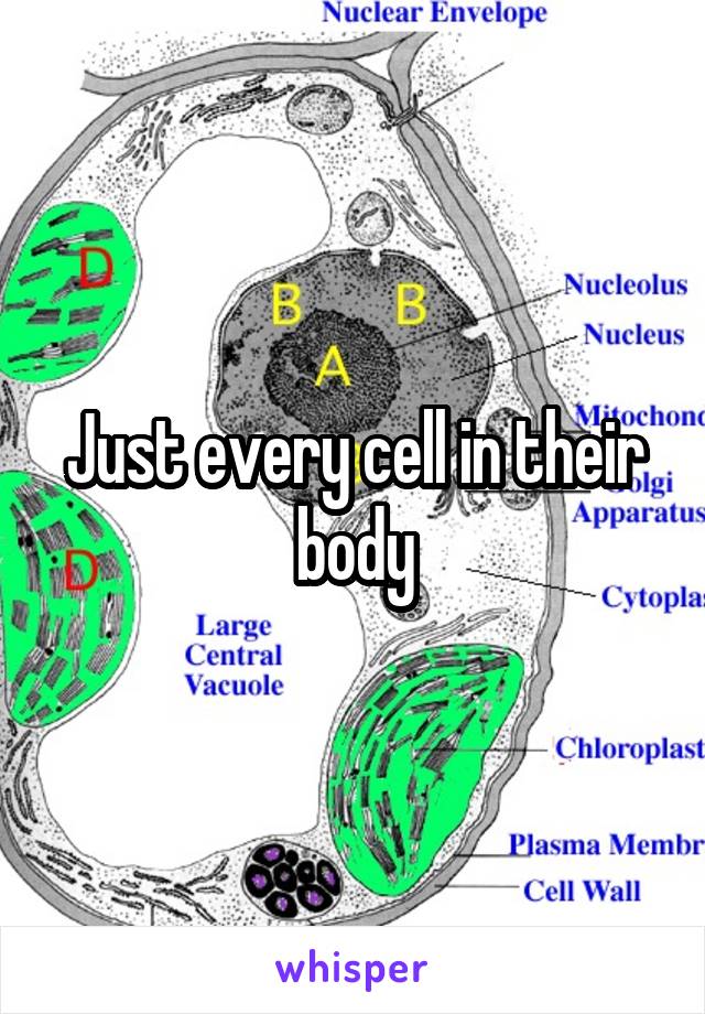 Just every cell in their body