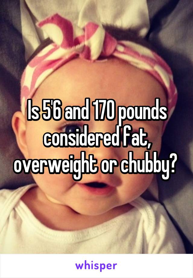 Is 5'6 and 170 pounds considered fat, overweight or chubby? 