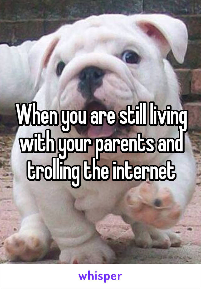 When you are still living with your parents and trolling the internet