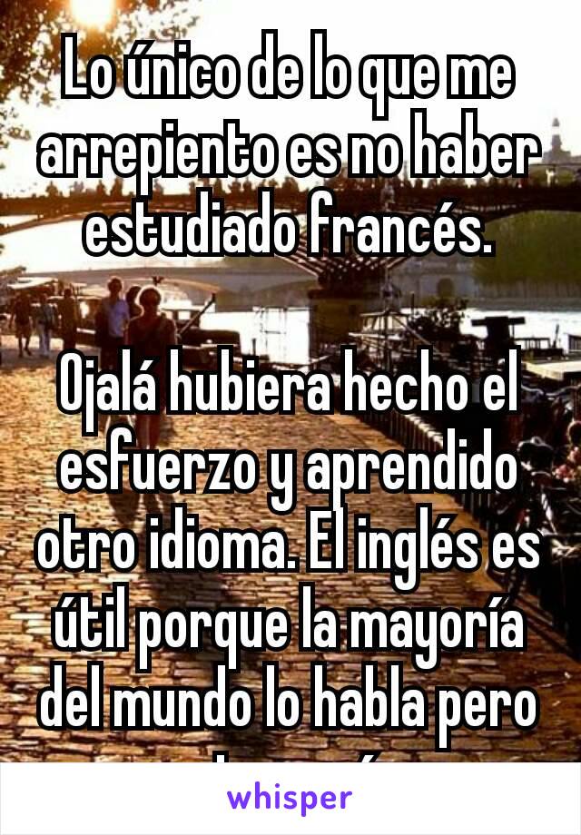 Lo único de lo que me arrepiento es no haber estudiado francés.

Ojalá hubiera hecho el esfuerzo y aprendido otro idioma. El inglés es útil porque la mayoría del mundo lo habla pero quiero más.