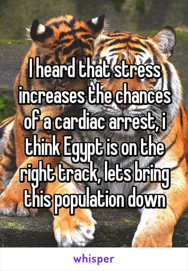 I heard that stress increases the chances of a cardiac arrest, i think Egypt is on the right track, lets bring this population down