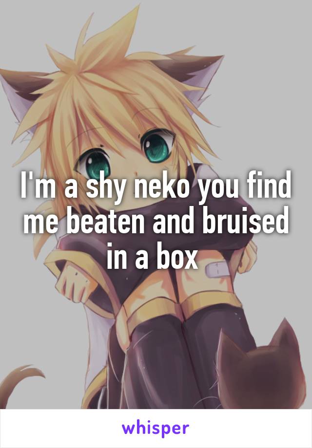 I'm a shy neko you find me beaten and bruised in a box 