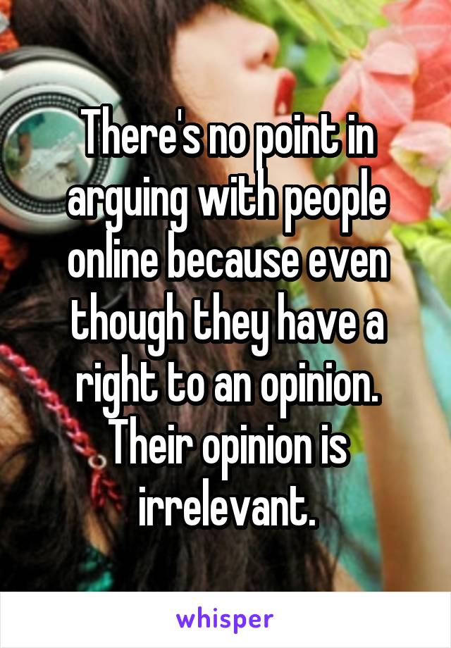 There's no point in arguing with people online because even though they have a right to an opinion. Their opinion is irrelevant.