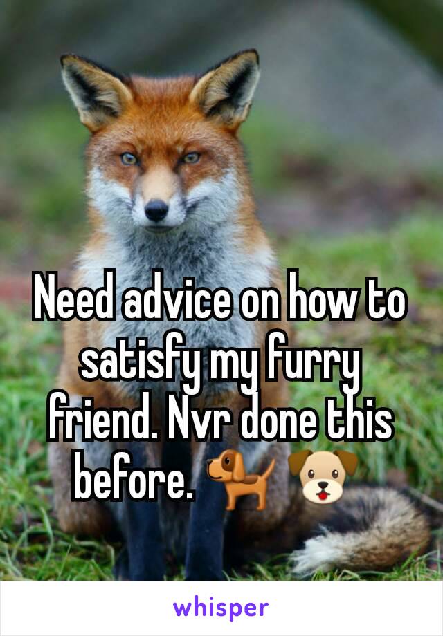 Need advice on how to satisfy my furry friend. Nvr done this before. 🐕 🐶 