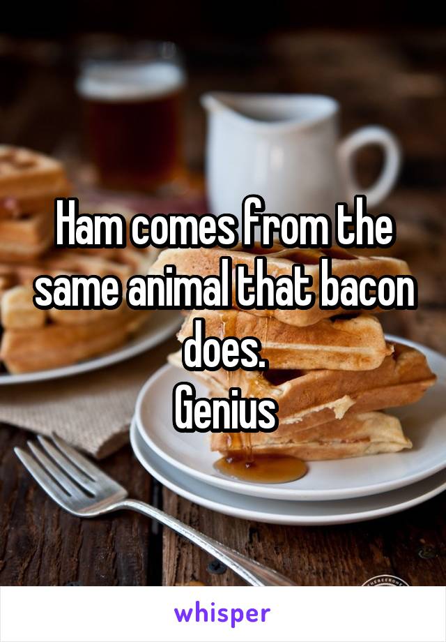 Ham comes from the same animal that bacon does.
Genius