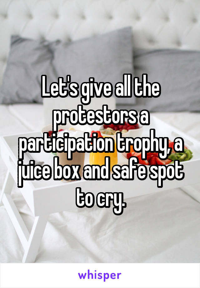 Let's give all the protestors a participation trophy, a juice box and safe spot to cry.