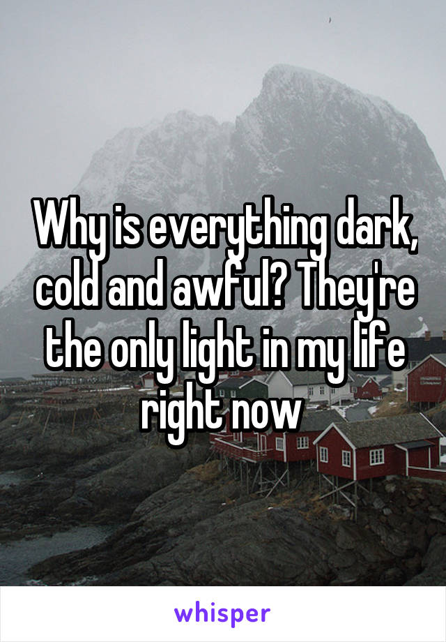 Why is everything dark, cold and awful? They're the only light in my life right now 