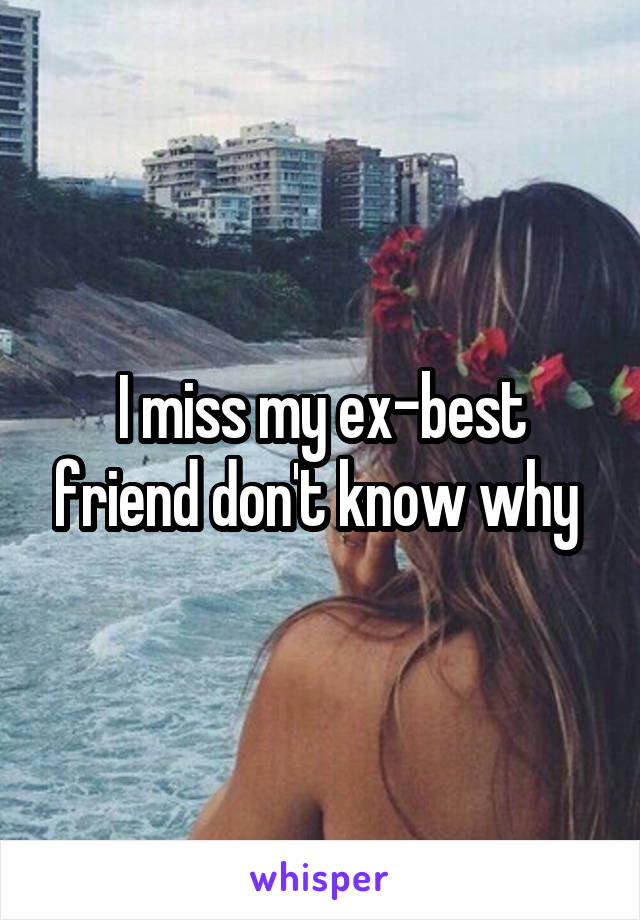 I miss my ex-best friend don't know why 