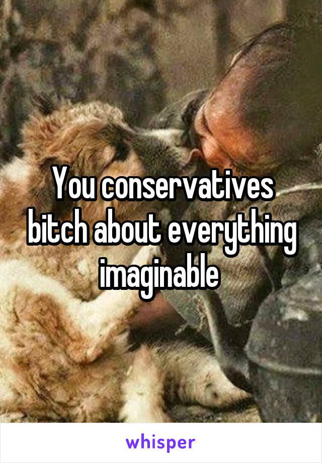 You conservatives bitch about everything imaginable 