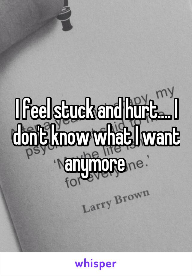 I feel stuck and hurt.... I don't know what I want anymore 