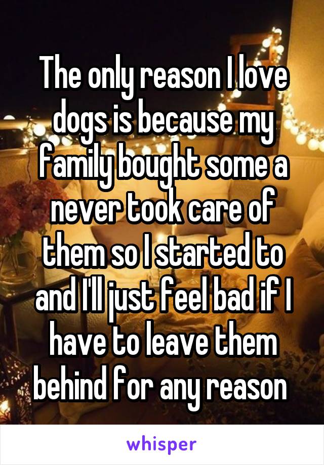 The only reason I love dogs is because my family bought some a never took care of them so I started to and I'll just feel bad if I have to leave them behind for any reason 