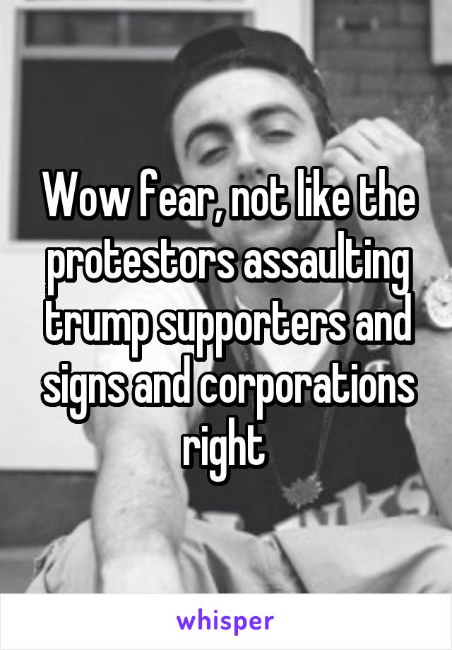 Wow fear, not like the protestors assaulting trump supporters and signs and corporations right 