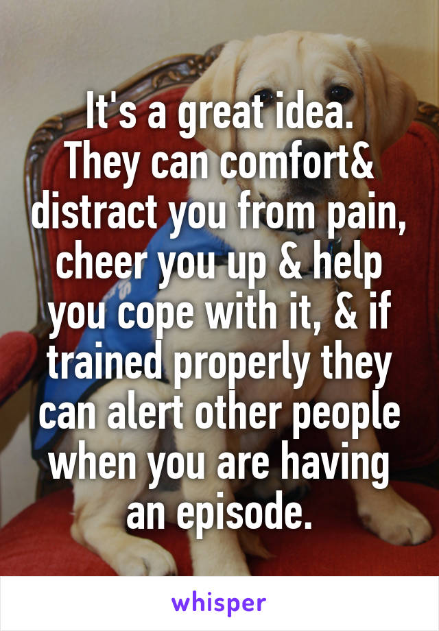 It's a great idea.
They can comfort& distract you from pain, cheer you up & help you cope with it, & if trained properly they can alert other people when you are having an episode.