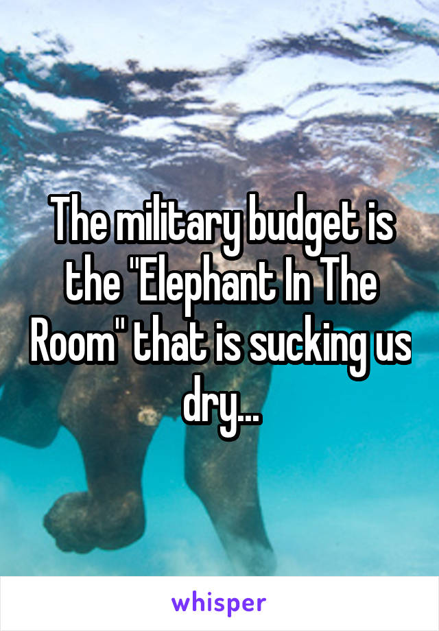 The military budget is the "Elephant In The Room" that is sucking us dry...