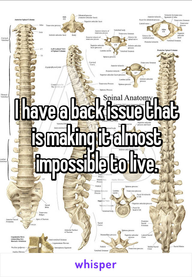 I have a back issue that is making it almost impossible to live.