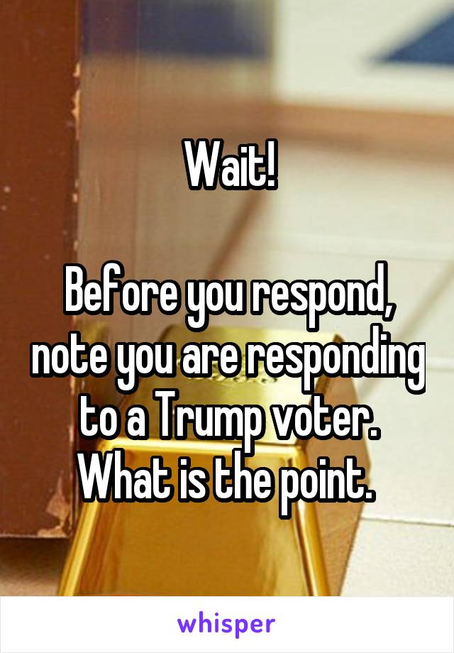 Wait!

Before you respond, note you are responding to a Trump voter. What is the point. 