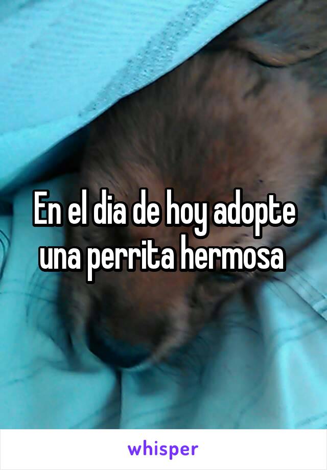 En el dia de hoy adopte una perrita hermosa 