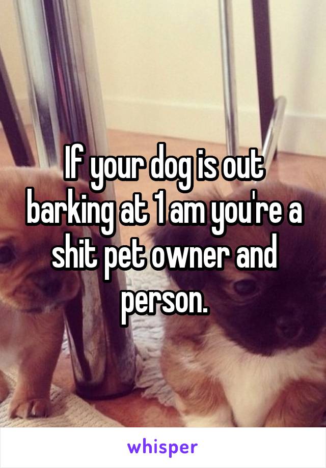 If your dog is out barking at 1 am you're a shit pet owner and person.