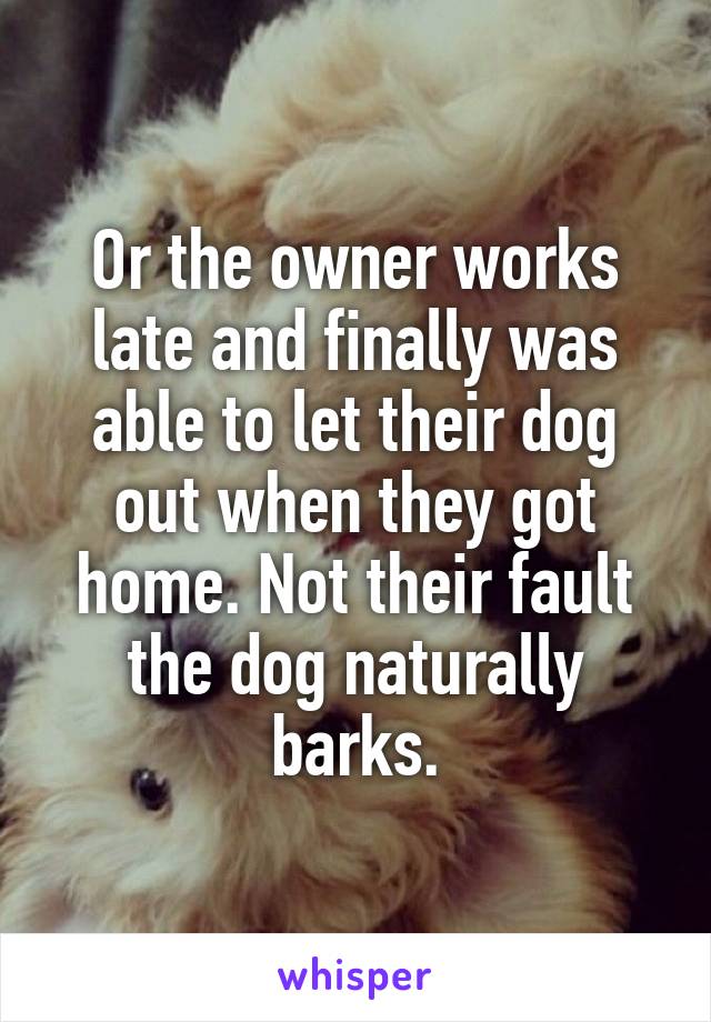 Or the owner works late and finally was able to let their dog out when they got home. Not their fault the dog naturally barks.