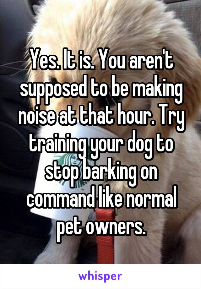 Yes. It is. You aren't supposed to be making noise at that hour. Try training your dog to stop barking on command like normal pet owners.