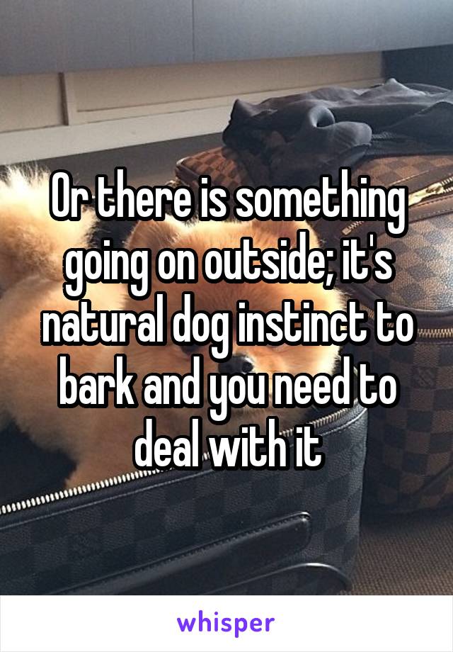 Or there is something going on outside; it's natural dog instinct to bark and you need to deal with it