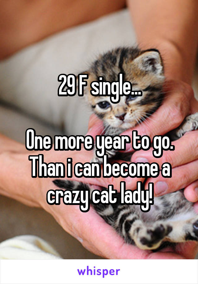 29 F single...

One more year to go. Than i can become a crazy cat lady!