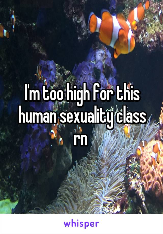 I'm too high for this human sexuality class rn 