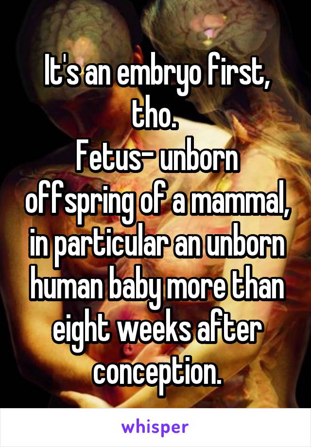 It's an embryo first, tho. 
Fetus- unborn offspring of a mammal, in particular an unborn human baby more than eight weeks after conception.