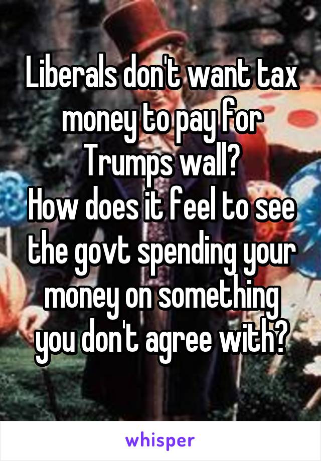 Liberals don't want tax money to pay for Trumps wall?
How does it feel to see the govt spending your money on something you don't agree with?
