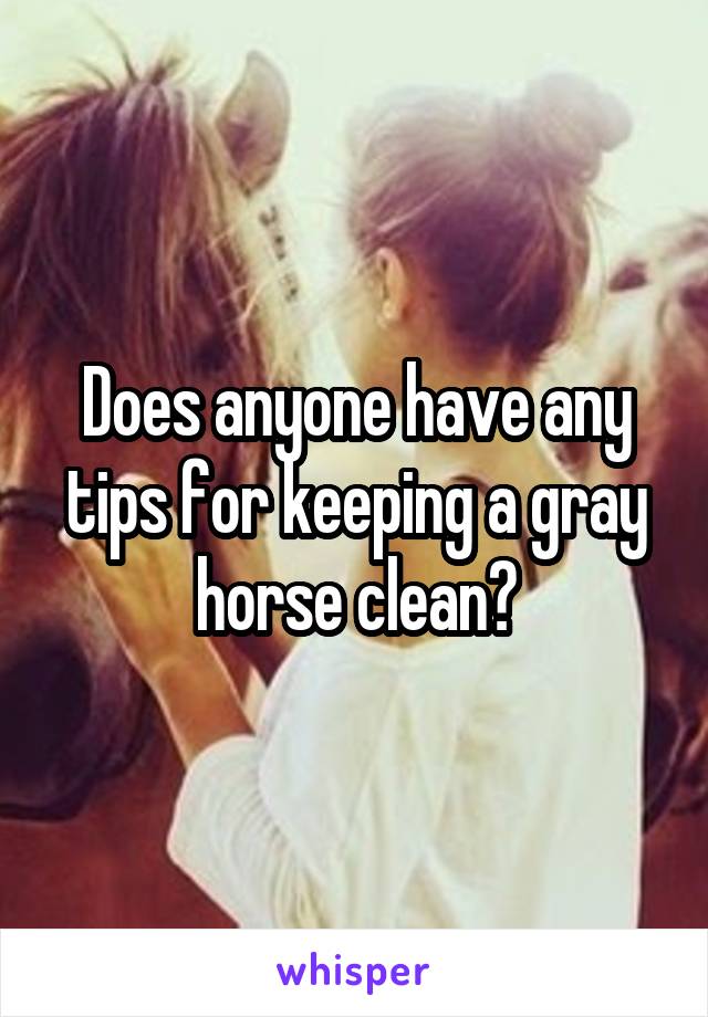 Does anyone have any tips for keeping a gray horse clean?