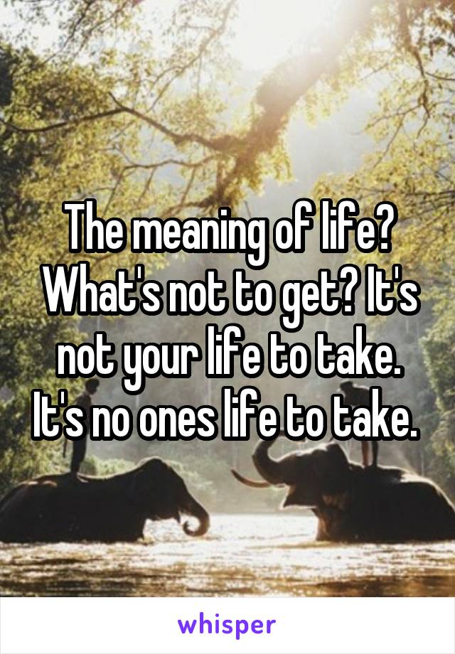 The meaning of life? What's not to get? It's not your life to take. It's no ones life to take. 