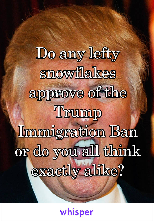 Do any lefty snowflakes approve of the Trump Immigration Ban or do you all think exactly alike?