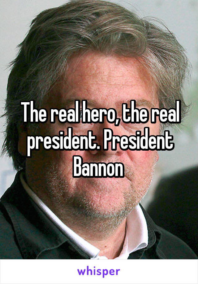 The real hero, the real president. President Bannon 