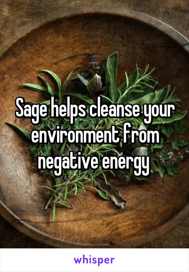 Sage helps cleanse your environment from negative energy 