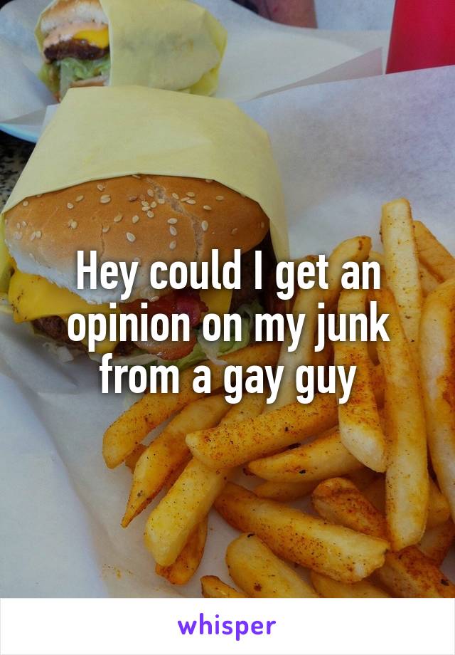 Hey could I get an opinion on my junk from a gay guy