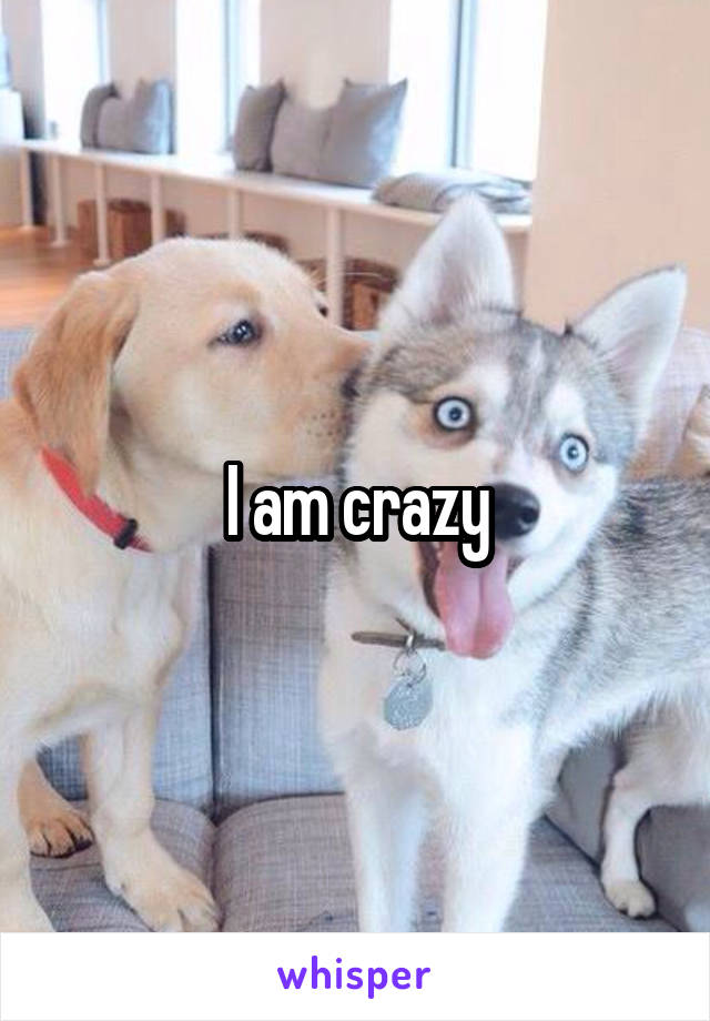 I am crazy