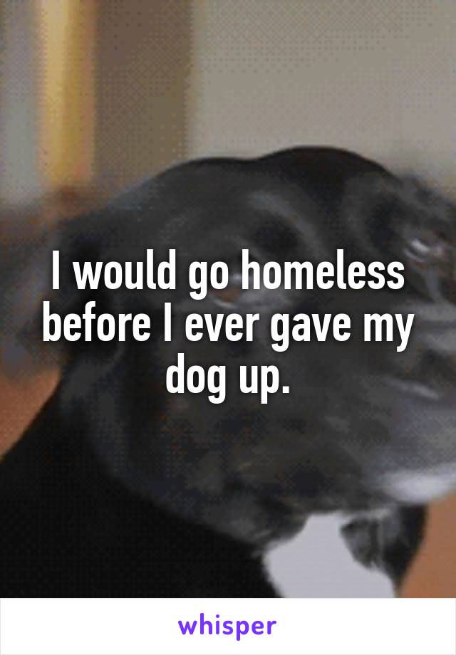 I would go homeless before I ever gave my dog up.