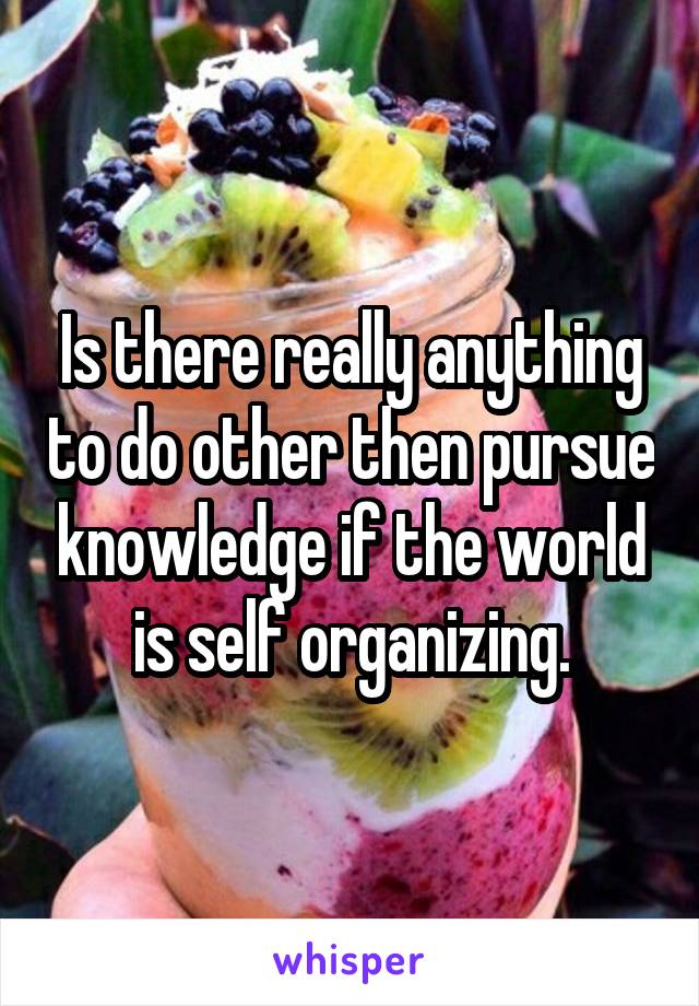 Is there really anything to do other then pursue knowledge if the world is self organizing.