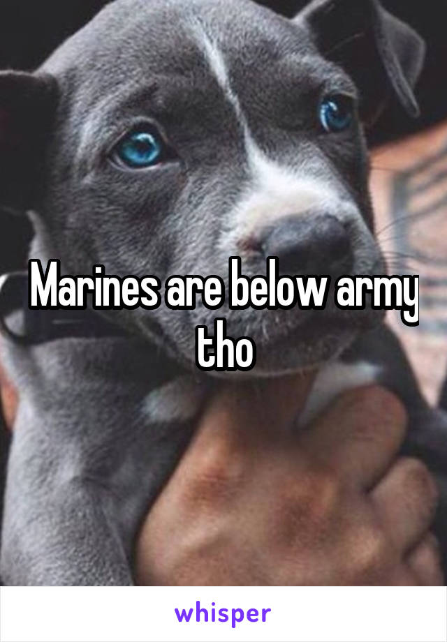 Marines are below army tho