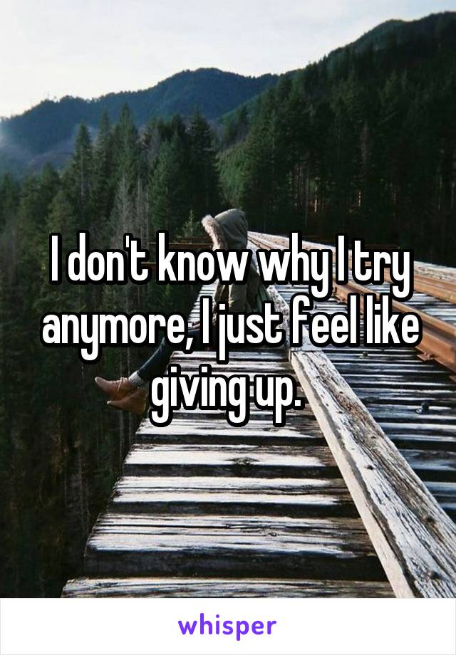 I don't know why I try anymore, I just feel like giving up. 