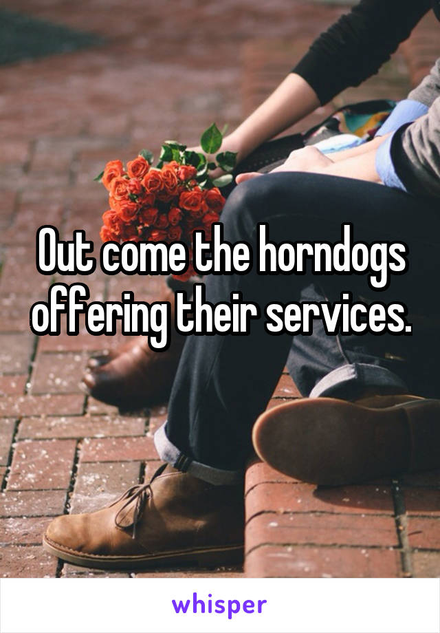 Out come the horndogs offering their services. 