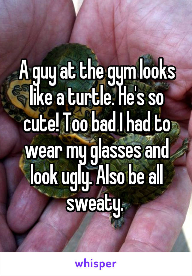 A guy at the gym looks like a turtle. He's so cute! Too bad I had to wear my glasses and look ugly. Also be all sweaty. 