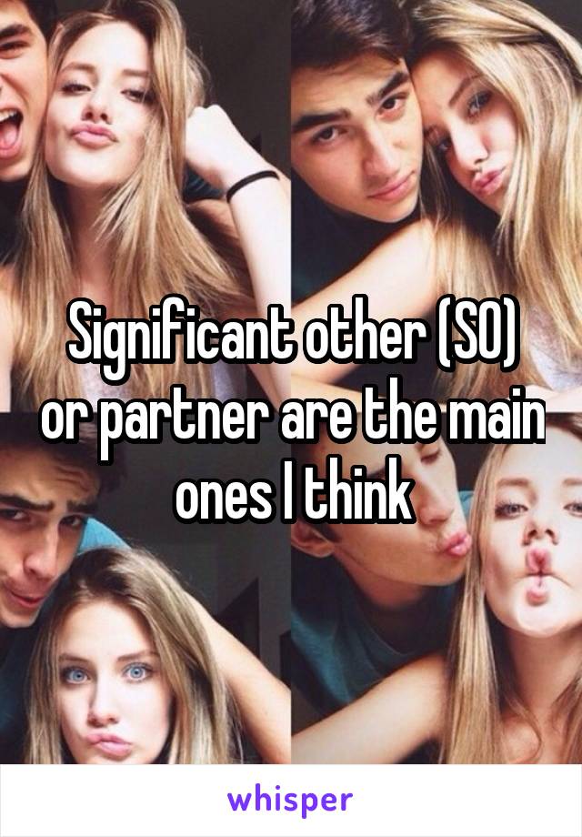 Significant other (SO) or partner are the main ones I think