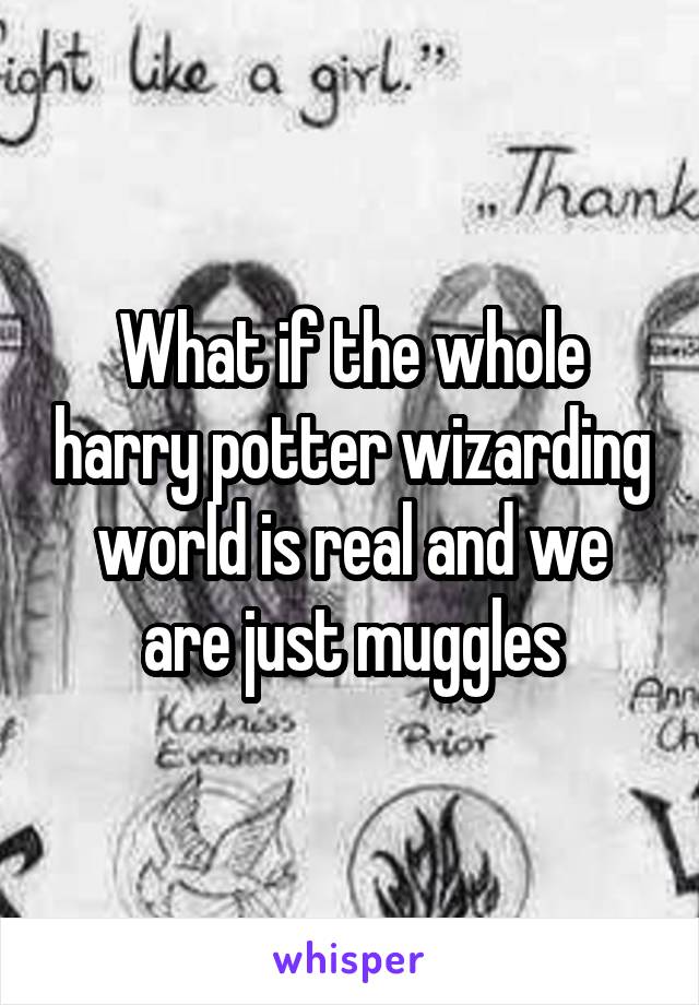 What if the whole harry potter wizarding world is real and we are just muggles