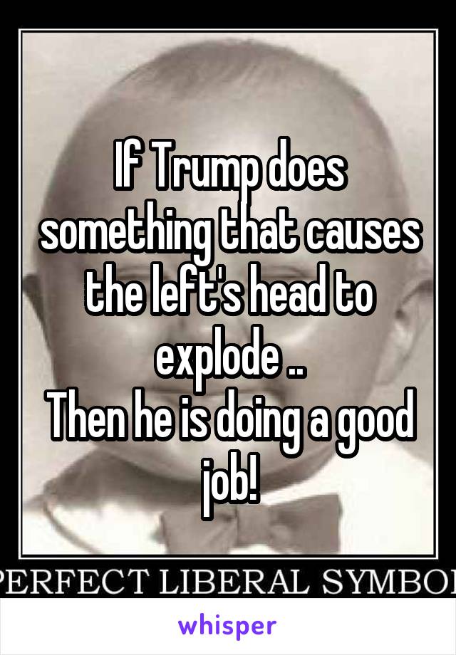 If Trump does something that causes the left's head to explode ..
Then he is doing a good job!